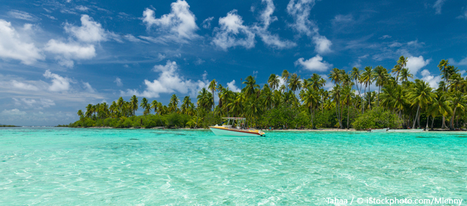 Tahaa